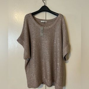 Plus size shirt sleeve sparkle sweater